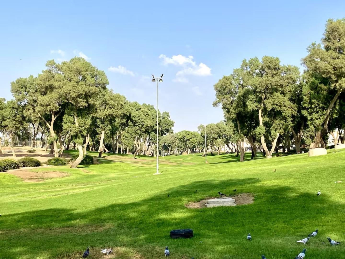 דירה יפיפיה! מיקום מעולה! אוניברסיטת בן גוריון, סורוקה, שוק, פארק! Leilighet Beersheba Eksteriør bilde